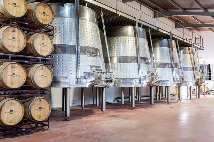 Premium Wine Tasting & Gastronomic Pairing Lunch near Valencia