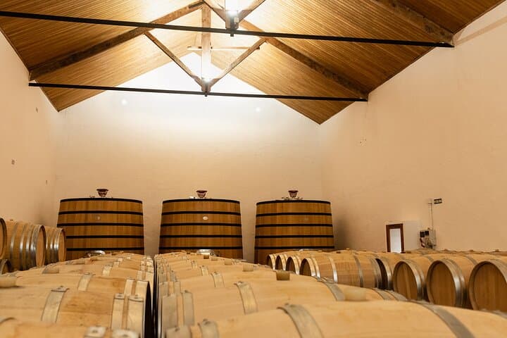 Premium Wine Tasting & Gastronomic Pairing Lunch near Valencia
