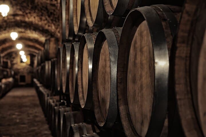 Behind the Wine: Guided Winery Tour & Tasting in Extremadura