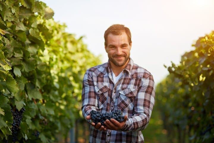 Behind the Wine: Guided Winery Tour & Tasting in Extremadura