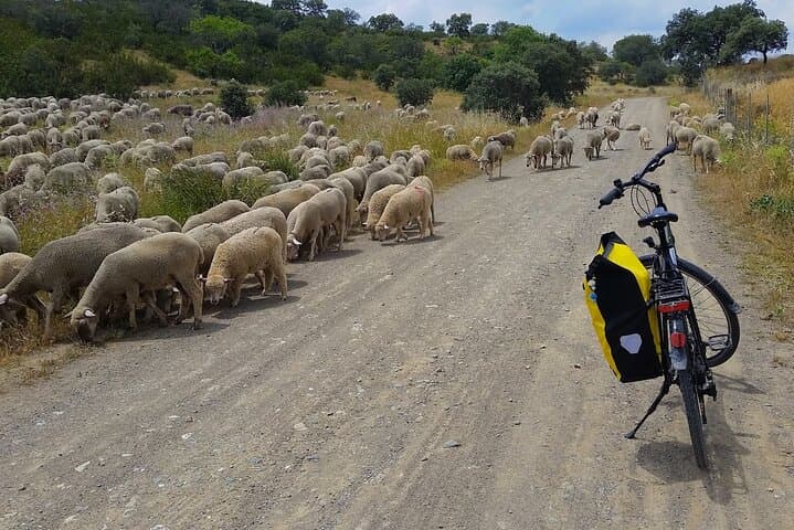 Self-guided Bike Tour around Doñana from Seville