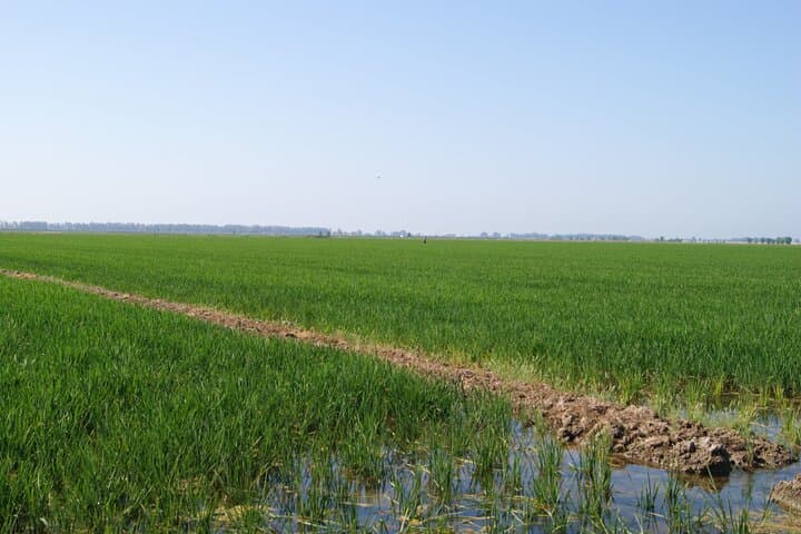 Self-guided Bike Tour around Doñana from Seville