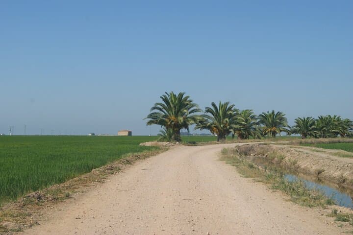 Self-guided Bike Tour around Doñana from Seville