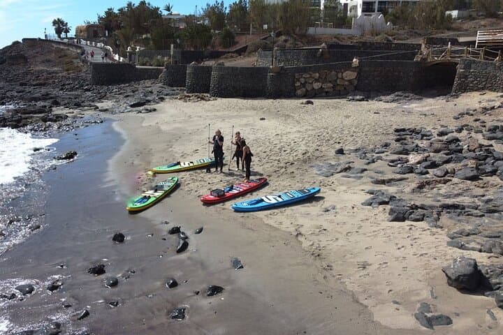 SUP Standup Paddling and Snorkeling Shared Experience