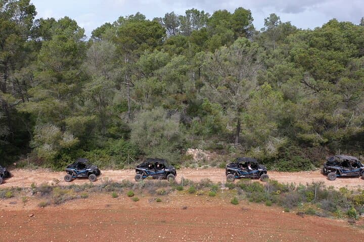 Buggy 2-seater and 4-seater Off-On Road Tour in Mallorca