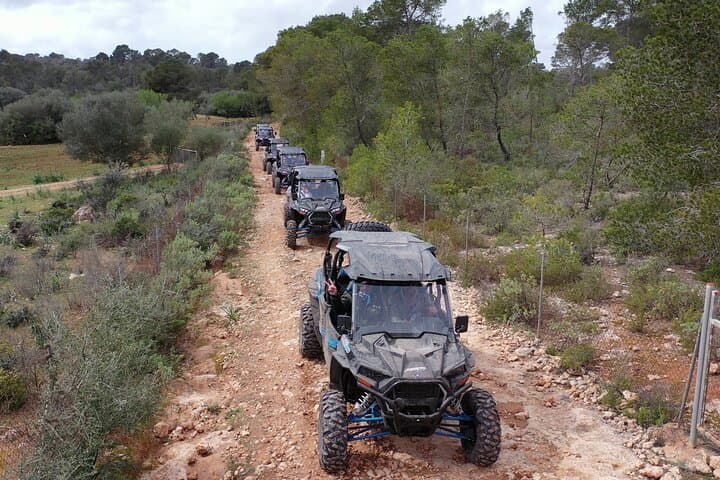 Buggy 2-seater and 4-seater Off-On Road Tour in Mallorca