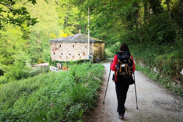 Camino de Santiago French from Sarria to Santiago de Compostela