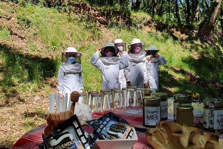 Private Visit to the Bees and Tasting in Ventosa, La Rioja
