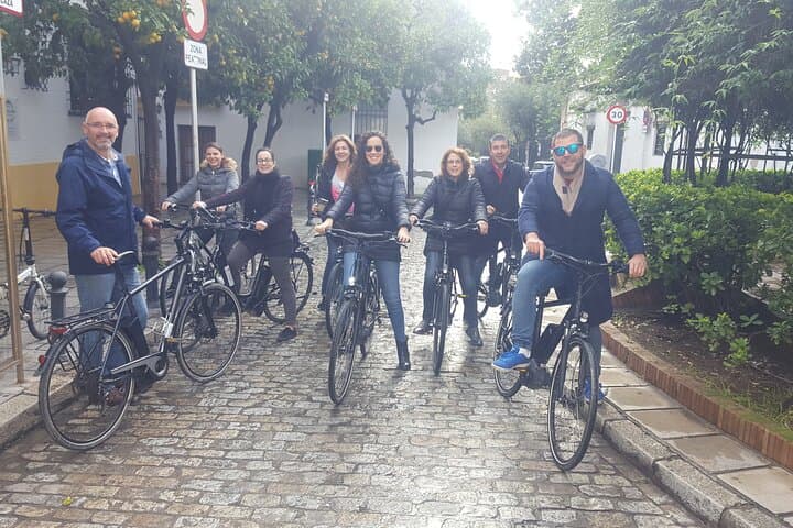 Guided Electric Bicycle Tour of Seville