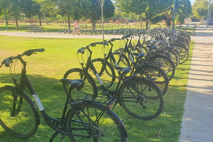 Bike Rental per Day in Seville