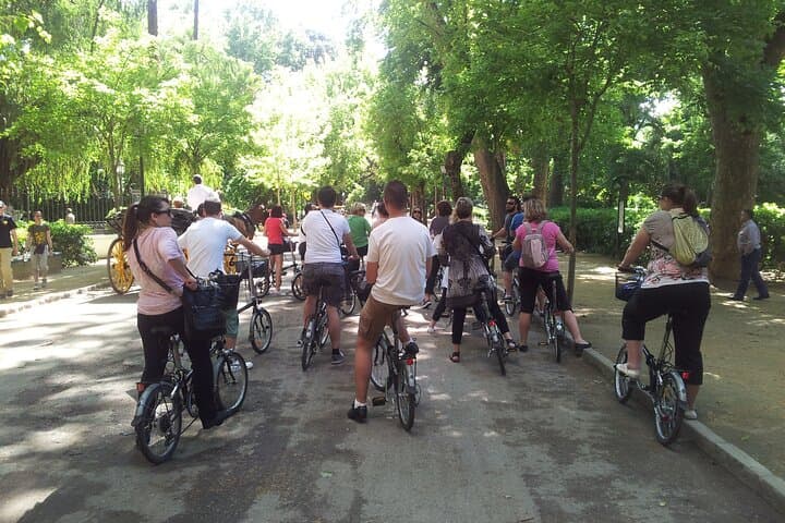 Guided Electric Bicycle Tour of Seville