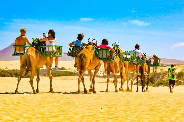 Camel safari Masplomas