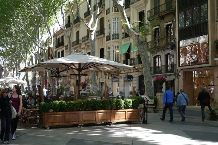 Mallorca Shore Excursion Highlights Private Tour including Valldemossa