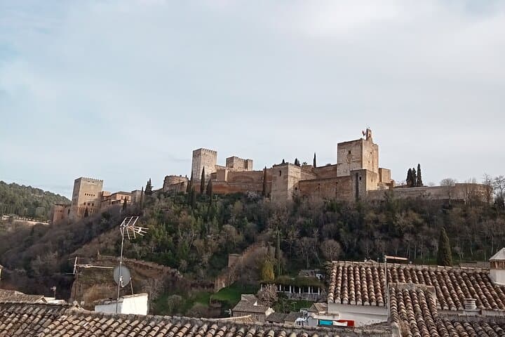 Guided Walking Tour with Panoramic Views and Terraces of Granada