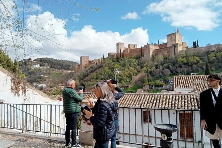 Guided Walking Tour with Panoramic Views and Terraces of Granada