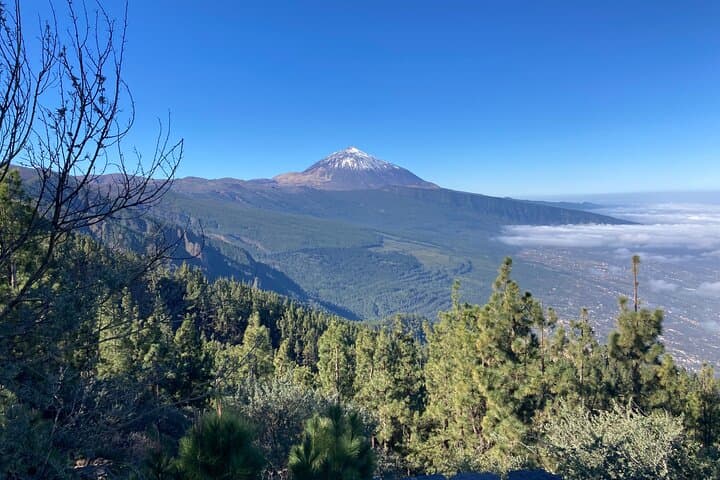 Private tour Teide National Park minimun 3 persons