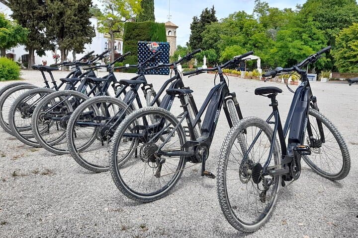 From Barcelona: E-Bike Tour in the vineyards with 2 Wineries