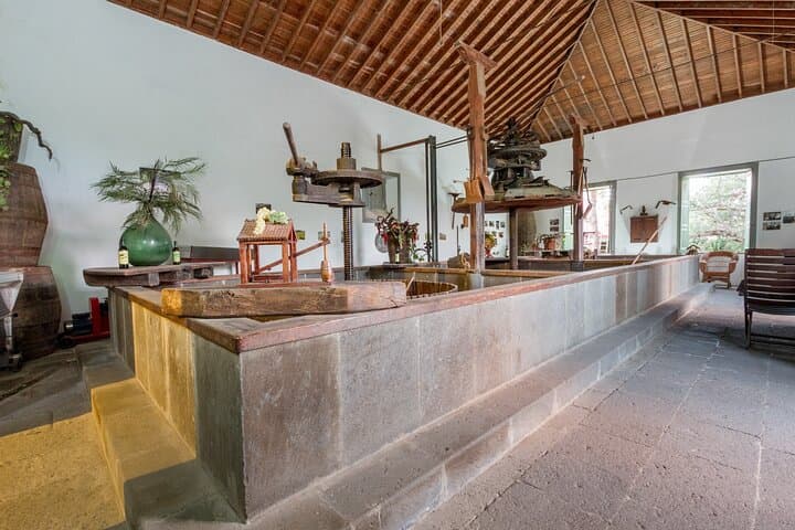 Winery Tour, Wine Museum, and Tasting in Gran Canaria