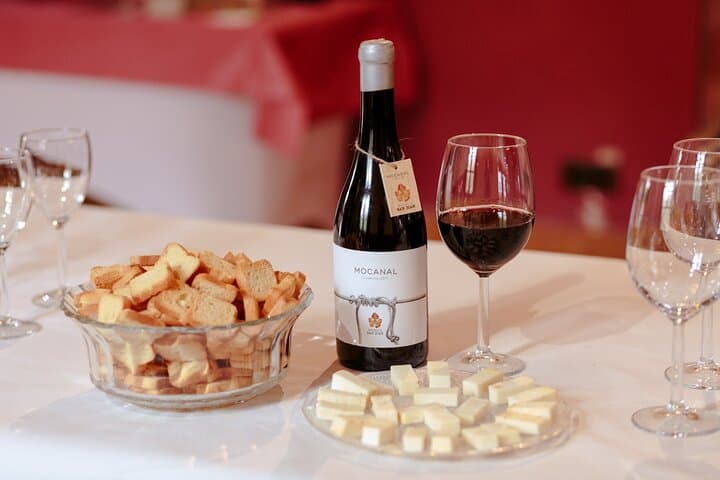 Winery Tour, Wine Museum, and Tasting in Gran Canaria