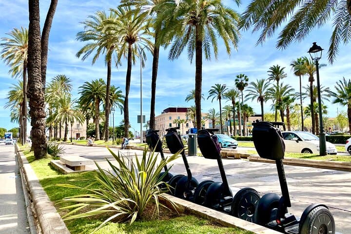 VIP Private Segway Tour of Palma