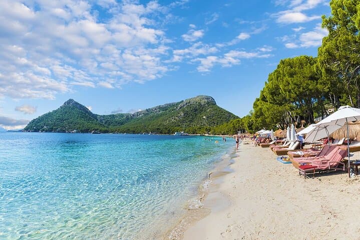 Scenic Guided Tour to Formentor and Alcúdia Local Market