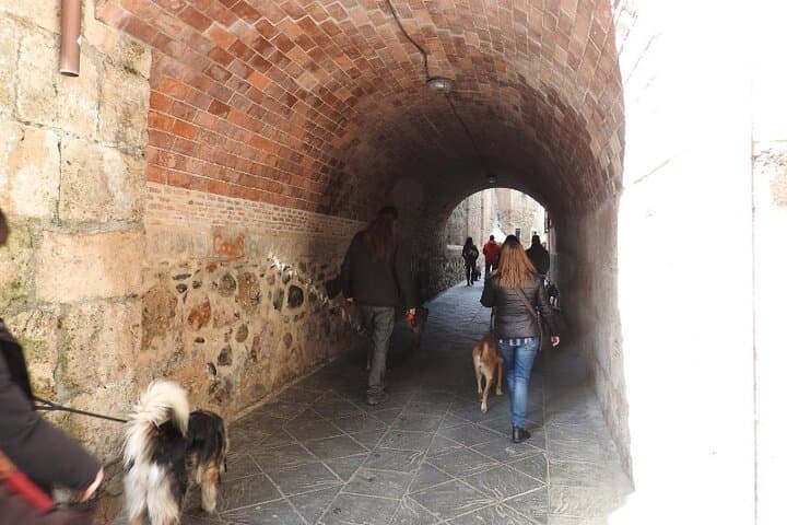 Guided visit to the Realejo with dogs