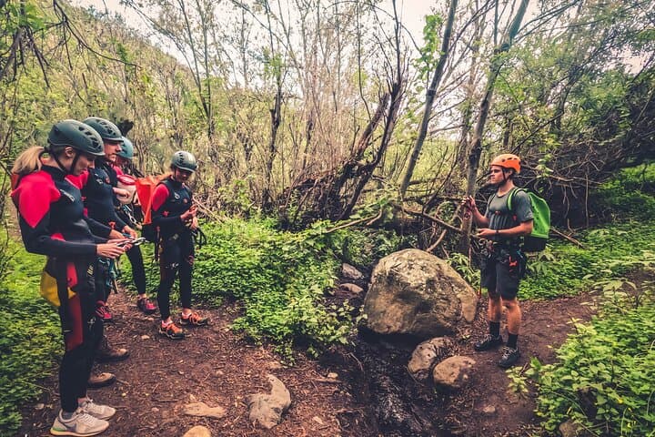 Canyoning with Waterfalls in the Rainforest - Small Groups ツ