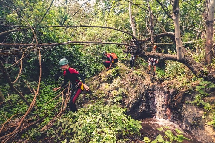 Canyoning with Waterfalls in the Rainforest - Small Groups ツ