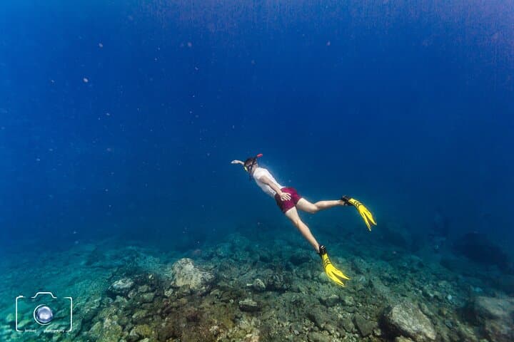 Half Day Mermaiding and Freediving in Tenerife