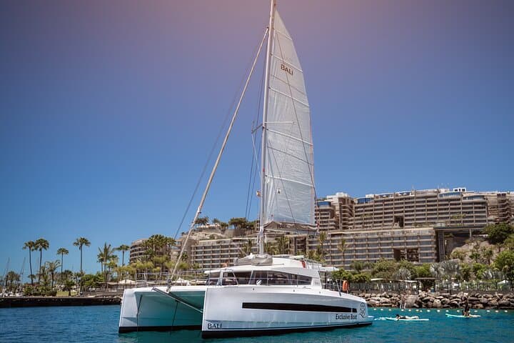 Afternoon Catamaran Trip in Gran Canaria