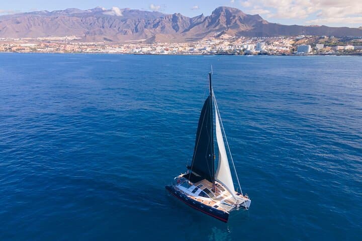 Avistamiento de ballenas en Tenerife