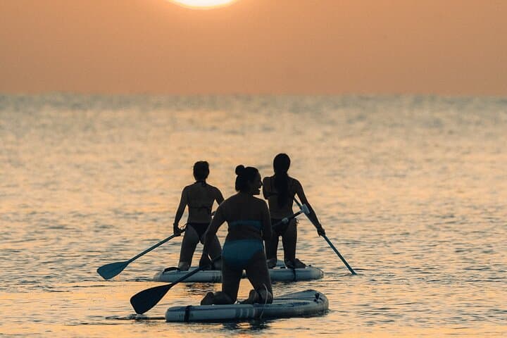 Paddle Board Rental in Torrevieja