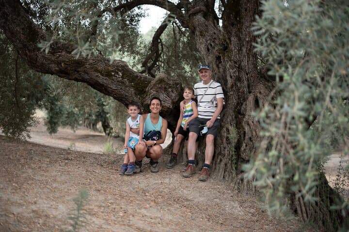 Visit to the ancient olive trees