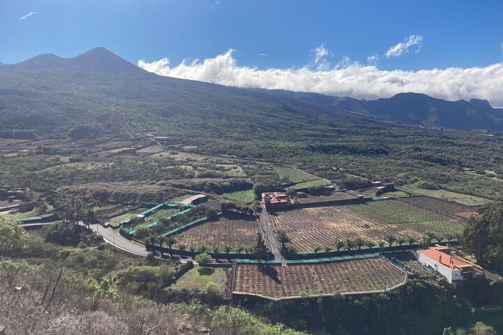 Private Tour of the Giants,Masca,Garachico de Icod de los Vinos