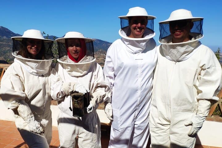 Bee Excursions in the Sierra de Cadiz