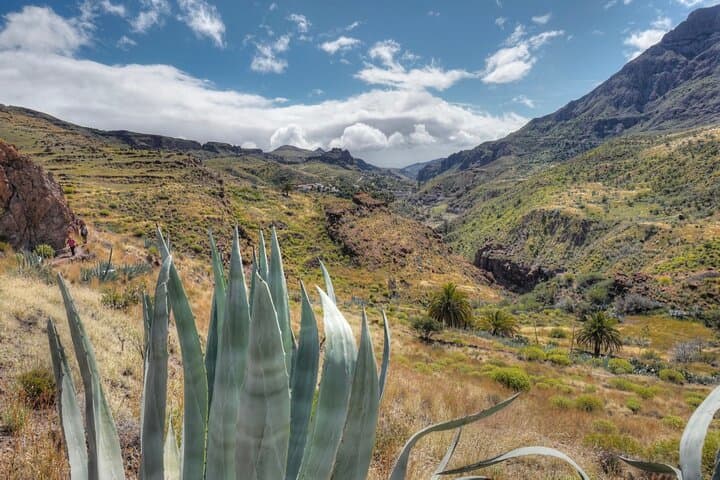 Old terraces and cultural landscape in the south of Gran Canaria