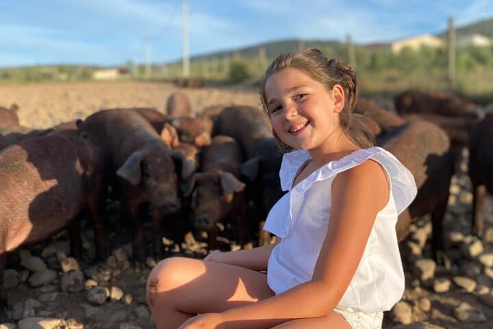 La Rioja Biosphere Organic Pig Farm and Ham and Wine Tasting