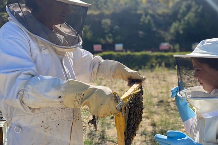 3-Day Rural Experience in the Valley of Ocón