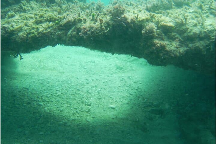 Diving In The Sea With Instructor In Tarragona Spain
