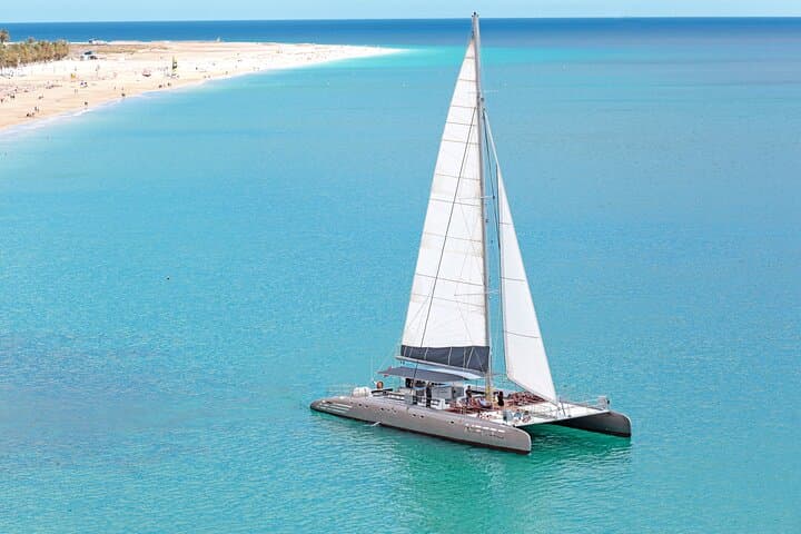 Magic select - Fuerteventura boat trip - dolphin and whale watching - catamaran