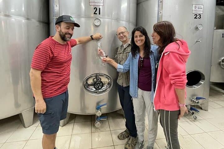 Learn about the wine tasting