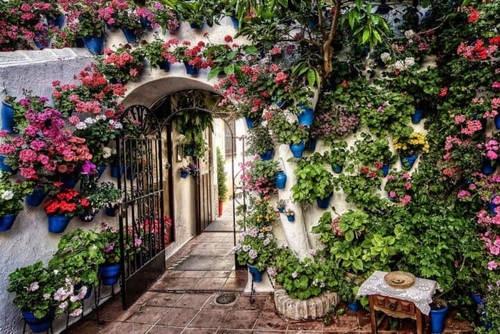 Tour pour la mosquée, l'Alcazar et le quartier juif