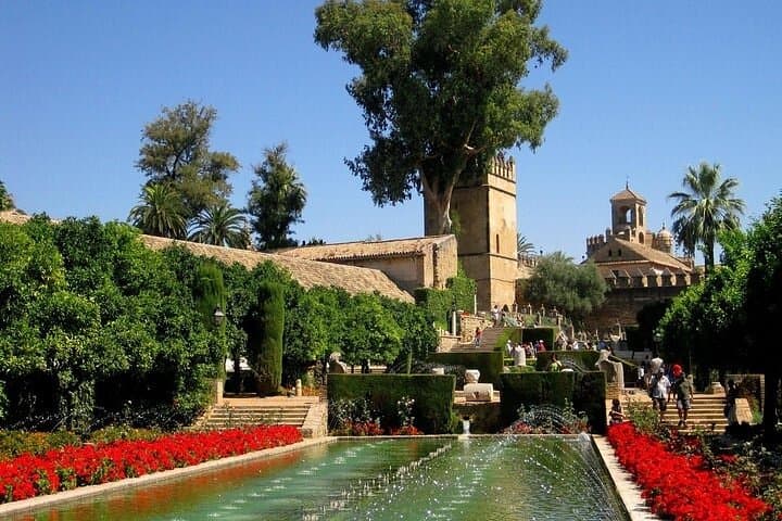 Tour pour la mosquée, l'Alcazar et le quartier juif