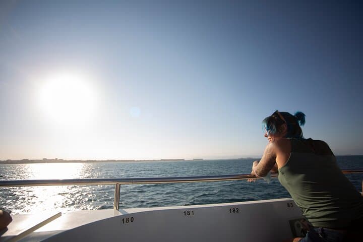 Boat Excursion at Sunset from the Port of Valencia