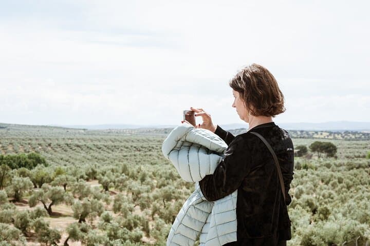 Capturing the landscape of the olive grove