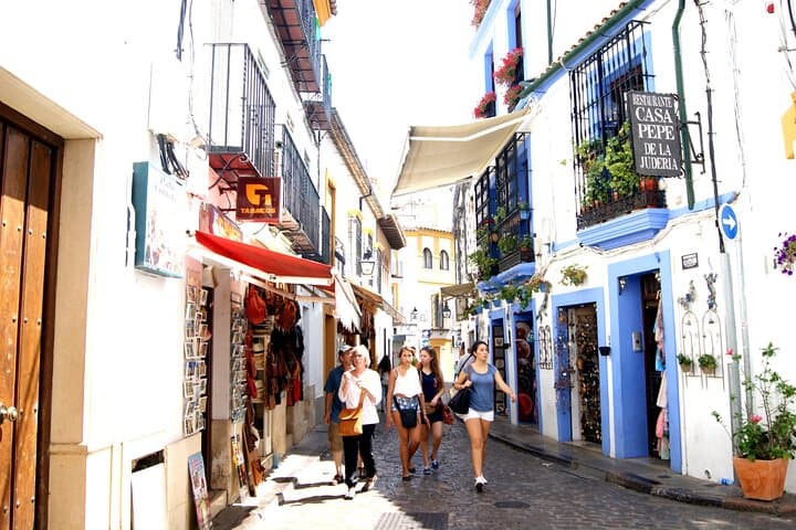 Cordoba and its Mosque from Granada with Semiprivate Transfer
