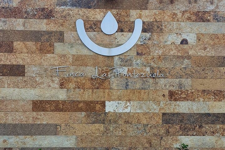 Oil tourism at Finca La Pontezuela