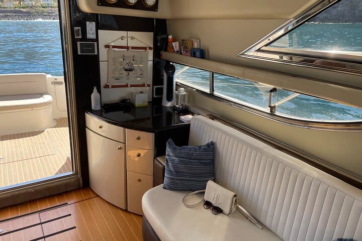 Whales and Dolphins excursion on a Luxury Yacht in Canary Islands