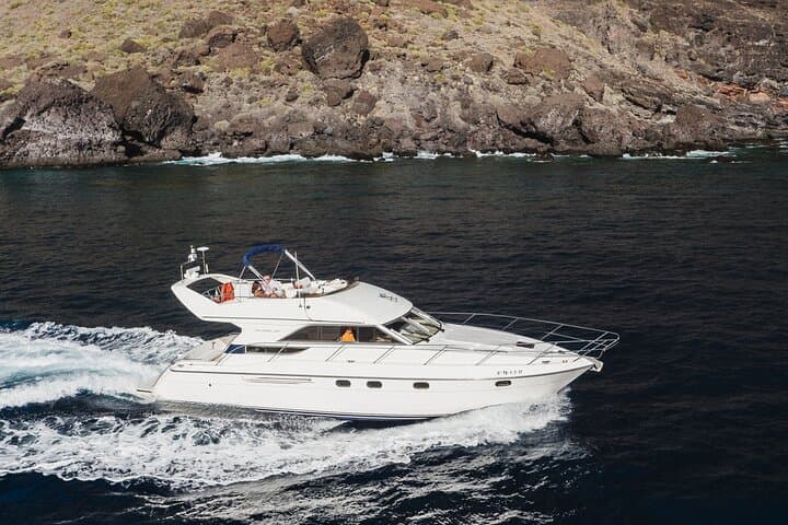 Whales and Dolphins excursion on a Luxury Yacht in Canary Islands
