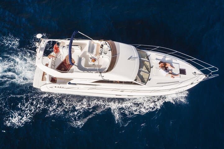 Whales and Dolphins excursion on a Luxury Yacht in Canary Islands
